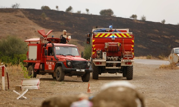 Deadly Wildfires Raging Across Algeria - Pressmediaofindia